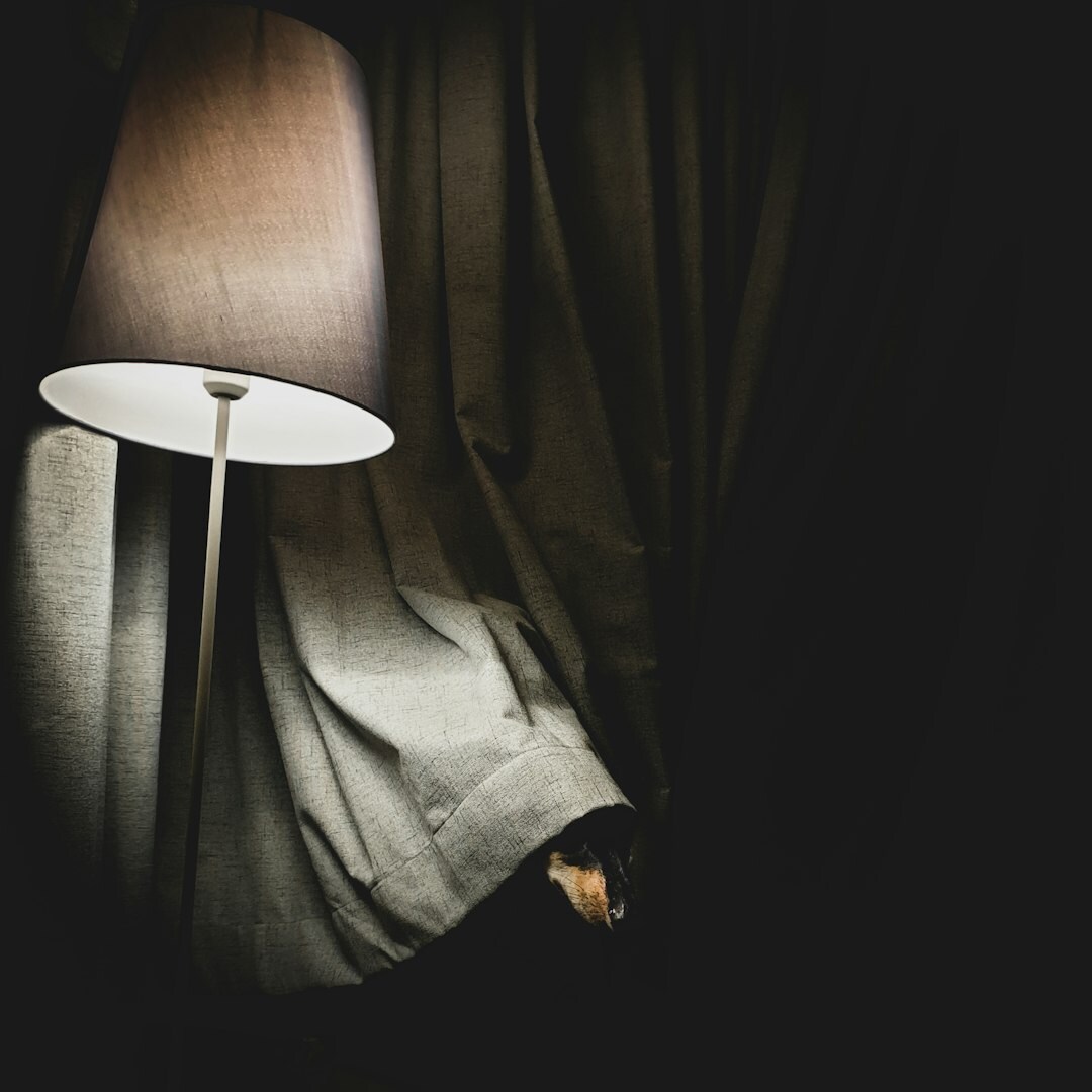 person reading book by lamp