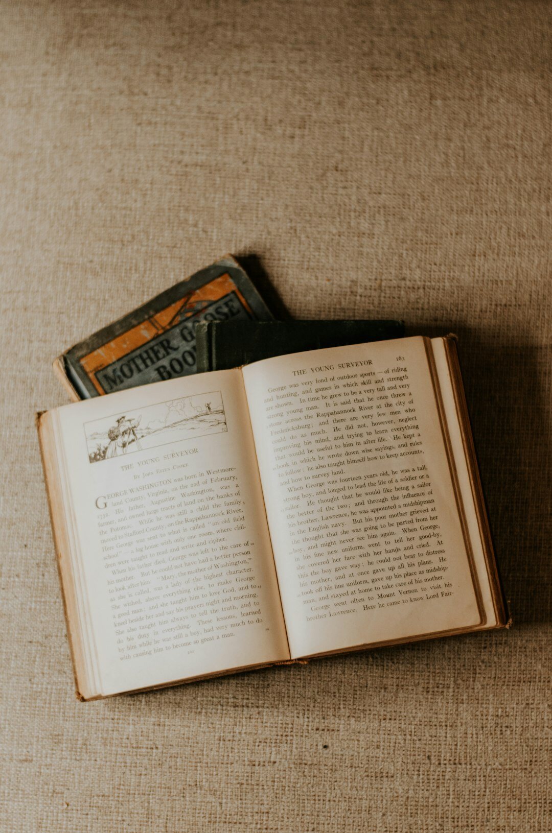 vintage detective book