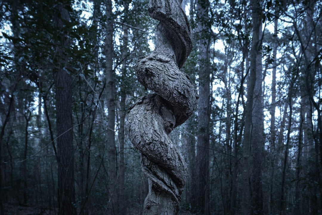 twisted plot in mystery